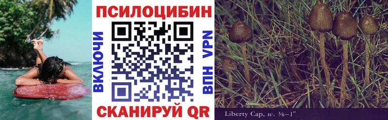 закладки  МЕГА   Галлюциногенные грибы Cubensis  Коломна 