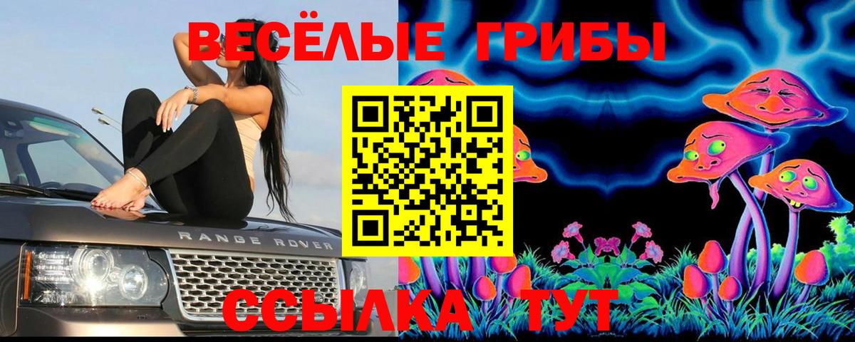 хочу   Псилоцибиновые грибы Cubensis  Вход с VPN  Коломна 